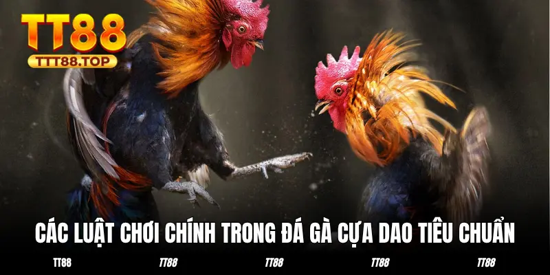 Các luật chơi chính trong đá gà cựa dao tiêu chuẩn