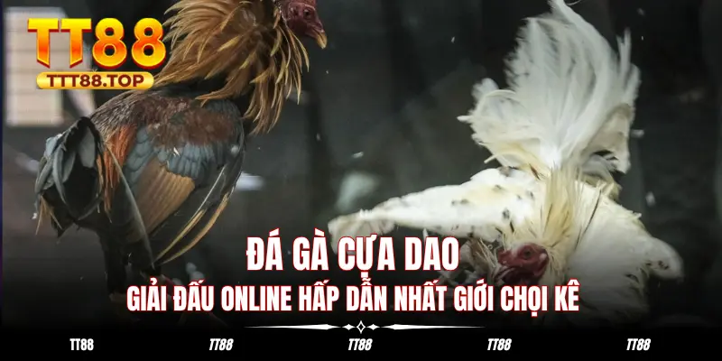 Đá Gà Cựa Dao: Giải Đấu Online Hấp Dẫn Nhất Giới Chọi Kê