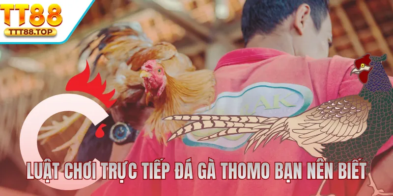 Luật chơi đá gà Thomo bạn nên biết